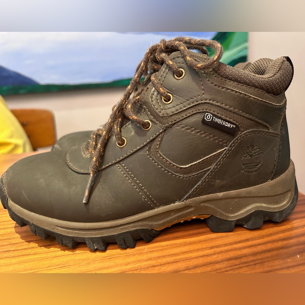 Timberland Mt. Madden hiking boots size 2 youth